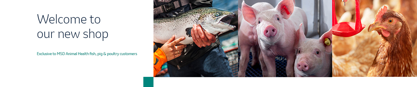 MSD Animal Health Logo